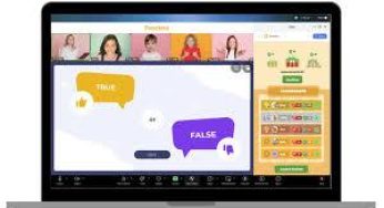 Are Language Software Really “Interactive”?